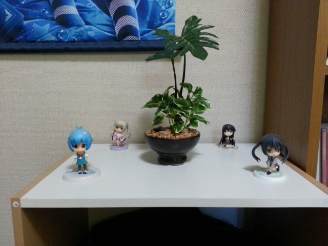 ���[�㏬��